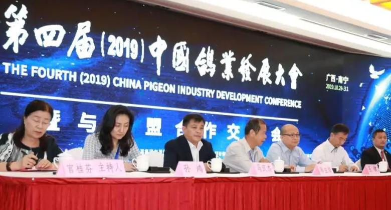 中國肉鴿產業(yè)發(fā)展的新特點