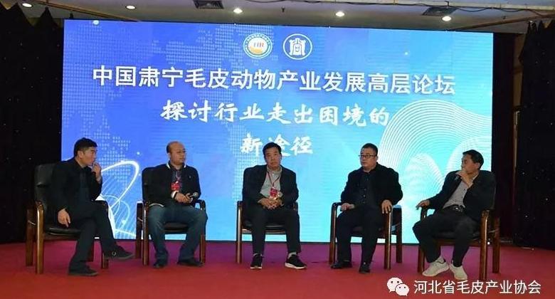 聚力發(fā)展 逆勢前行：中國肅寧毛皮產業(yè)高層發(fā)展論壇嘉賓訪談（三）