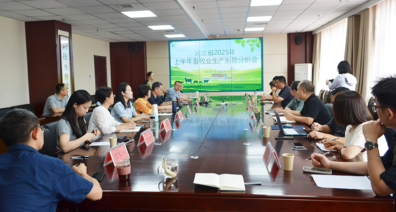 2025上半年河北省畜牧業(yè)生產(chǎn)形勢分析會 在石家莊舉辦