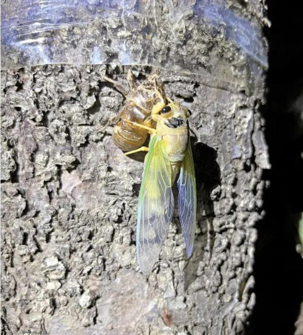 來(lái)濟(jì)南，“夏”鄉(xiāng)避暑